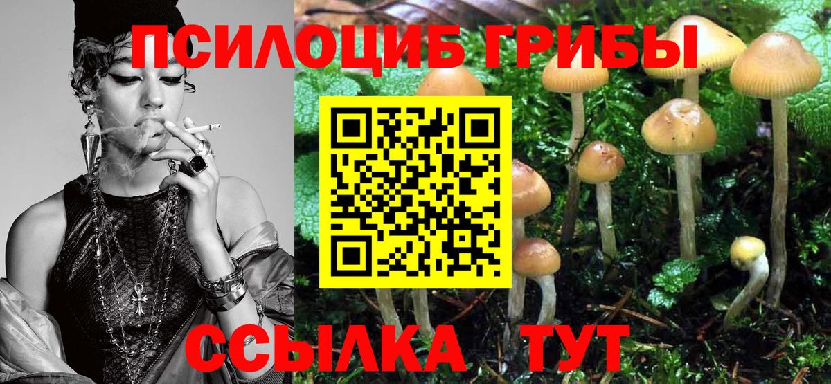 Железногорск  Галлюциногенные грибы Magic Shrooms  Вход с VPN  Псилоцибиновые грибы ЛСД 