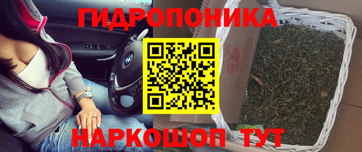 Конопля OG Kush Железногорск